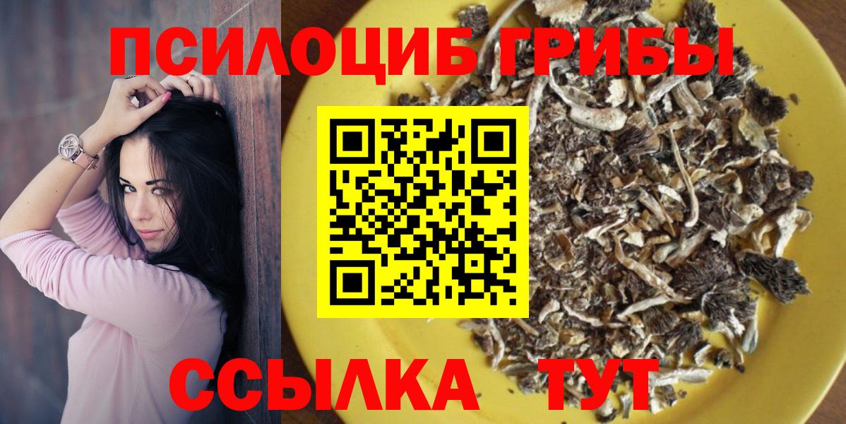 Галлюциногенные грибы мицелий Россия