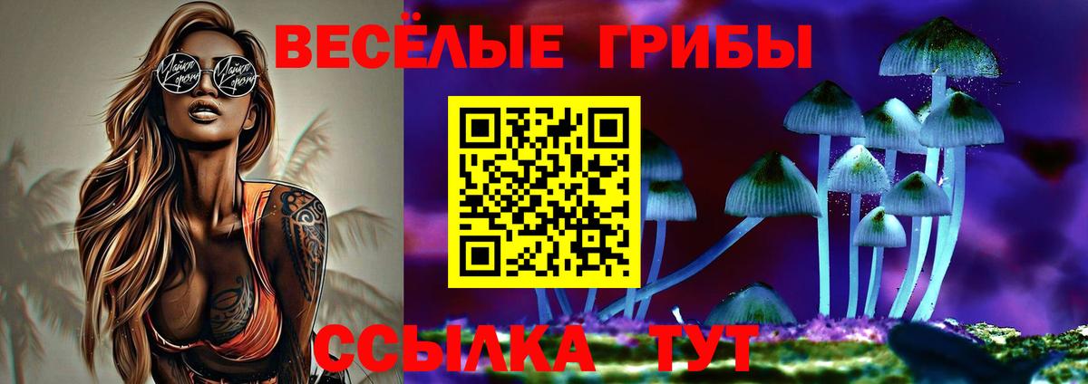 Россия  Галлюциногенные грибы Magic Shrooms  Вход с VPN 